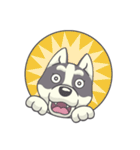 Playful Husky（個別スタンプ：31）