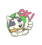 Playful Husky（個別スタンプ：34）