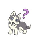 Playful Husky（個別スタンプ：35）