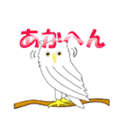 三重弁フクロウ（個別スタンプ：1）