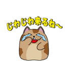 やわねこマーブル（個別スタンプ：8）