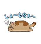 やわねこマーブル（個別スタンプ：38）