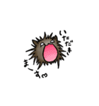 うにテリア（個別スタンプ：9）