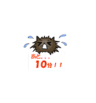 うにテリア（個別スタンプ：33）