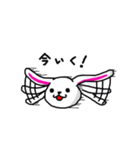 可愛いまるうさぎ（個別スタンプ：13）