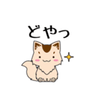 ねこスタンプ（個別スタンプ：20）