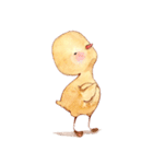 THE DUCK（個別スタンプ：17）