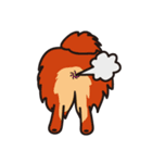 Cute Pomeranians（個別スタンプ：19）
