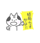 おやじねこ3（個別スタンプ：1）