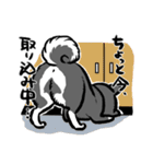 柴犬スタンプ2～黒柴～（個別スタンプ：29）