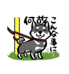 柴犬スタンプ2～黒柴～（個別スタンプ：32）