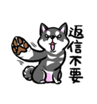 柴犬スタンプ2～黒柴～（個別スタンプ：35）