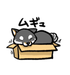 柴犬スタンプ2～黒柴～（個別スタンプ：37）