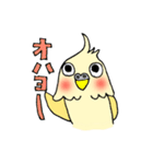 まんまるおめめオカメインコくん（個別スタンプ：18）