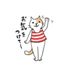 敬語のねこ氏と仲間たち（個別スタンプ：7）