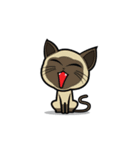 17 Siamese Cat（個別スタンプ：3）