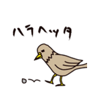 びーなす侍（個別スタンプ：40）