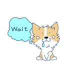 Corgi Mei Niang's life and festivals（個別スタンプ：1）
