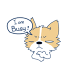 Corgi Mei Niang's life and festivals（個別スタンプ：3）