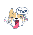 Corgi Mei Niang's life and festivals（個別スタンプ：6）