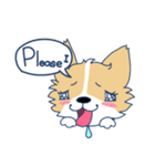 Corgi Mei Niang's life and festivals（個別スタンプ：8）