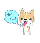Corgi Mei Niang's life and festivals（個別スタンプ：16）