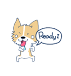 Corgi Mei Niang's life and festivals（個別スタンプ：27）