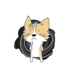 Corgi Mei Niang's life and festivals（個別スタンプ：30）