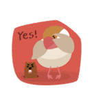 BirdsDay（個別スタンプ：40）