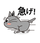黒ネコノコノコ（個別スタンプ：9）