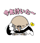 まるコンドル（個別スタンプ：39）