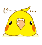 ぺっとり♪vol.02（インコ）（個別スタンプ：3）