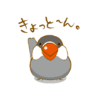 ぺっとり♪vol.02（インコ）（個別スタンプ：6）