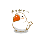 ぺっとり♪vol.02（インコ）（個別スタンプ：7）