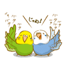 ぺっとり♪vol.02（インコ）（個別スタンプ：16）