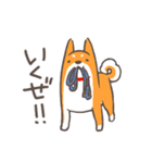 太柴犬（個別スタンプ：25）