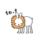 うさぎらいおん！（個別スタンプ：1）