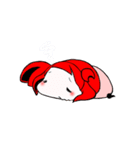 かにたんが一緒！（個別スタンプ：23）