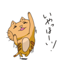 トラネコの日々（個別スタンプ：3）