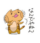 トラネコの日々（個別スタンプ：11）