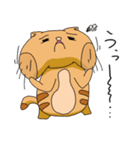 トラネコの日々（個別スタンプ：29）