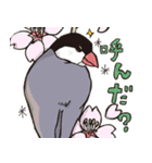 文鳥の毎日（個別スタンプ：12）