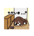 続UG☆DOGS～日常会話ver.～（個別スタンプ：24）