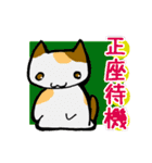 直立二足立ち猫（個別スタンプ：31）