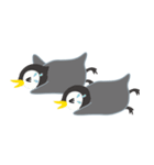 双子ペンギンPee ＆ Cheeの日常（個別スタンプ：16）