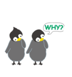 双子ペンギンPee ＆ Cheeの日常（個別スタンプ：24）