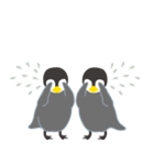 双子ペンギンPee ＆ Cheeの日常（個別スタンプ：33）