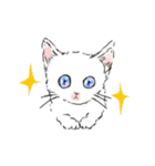 ペンねこ（個別スタンプ：1）