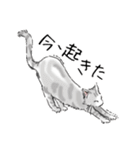ペンねこ（個別スタンプ：2）