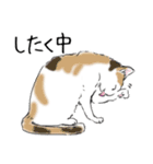 ペンねこ（個別スタンプ：3）